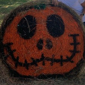 Meet your Posher, Frank